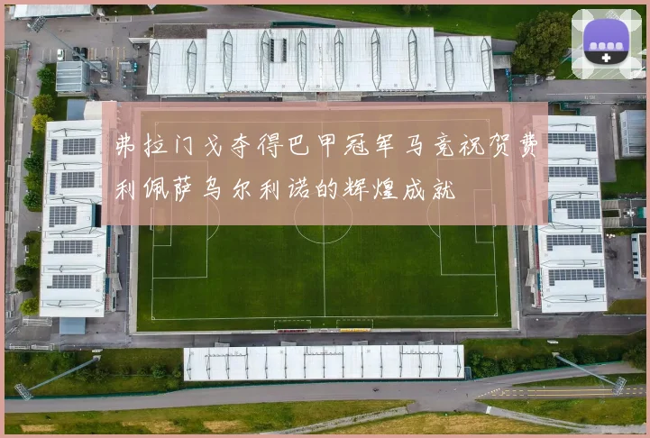 弗拉门戈夺得巴甲冠军马竞祝贺费利佩萨乌尔利诺的辉煌成就