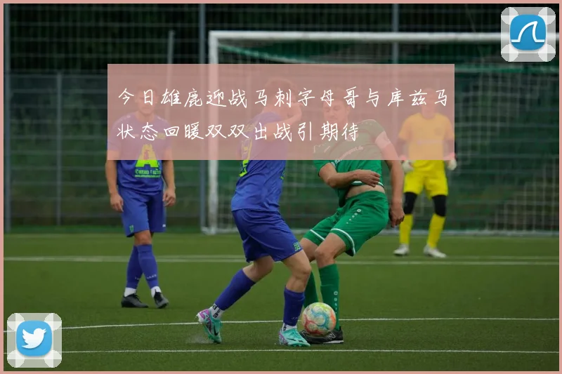 今日雄鹿迎战马刺字母哥与库兹马状态回暖双双出战引期待
