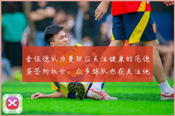 舍伍德认为曼联应关注健康的范德芬签约机会，众多球队也在关注他