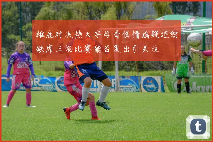 雄鹿对决热火字母哥伤情成疑连续缺席三场比赛能否复出引关注