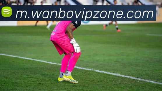 万博体育APP 高清赛事图